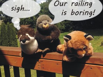 #deckingselfie-contest