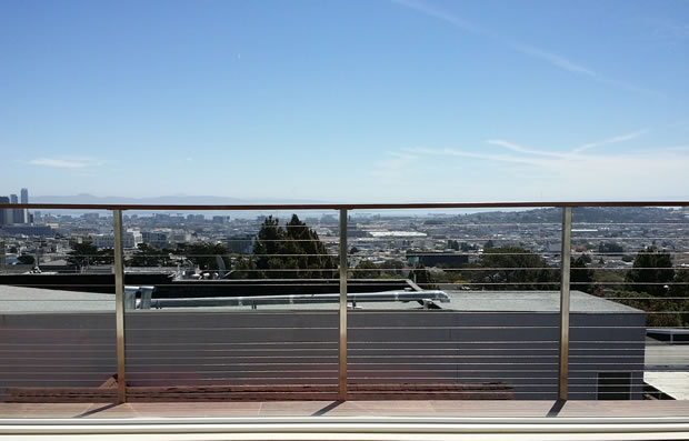 Cable rail with extra cables at the bottom to prevent pets from wandering. There's no such thing as dog proof cable railing but custom cable railing with additional infill can help.