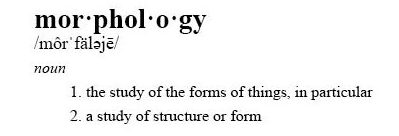 Definition-Morphology
