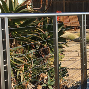 Leafy Plant Barrier on Stone Patio