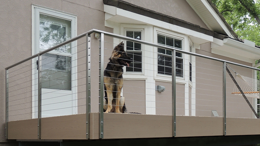 Dog is enclosed by a beautiful wire railing system