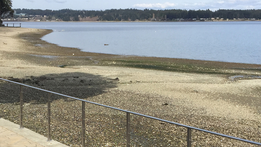 Luxury stainless steel wire or cable railings installed on a waterfront property.