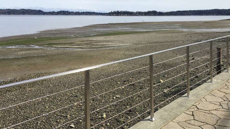 Elegant AGS Stainless custom cable railing with a flat handrail.