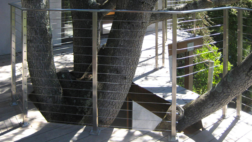 Cable railing wraps around a mature tree. Branches poke through the deck cable railing system.